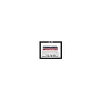 19" SKATERSOCKS white style 19-010 royal blue/red...