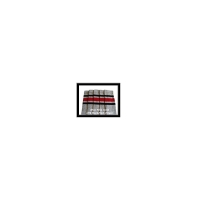 19" SKATERSOCKS grey style 19-58 black/ red stripes