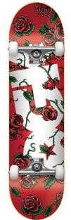 DGK complete Skateboard Bloom  7.75"