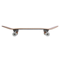 Arbor Complete Cruiser Solstice B4BC Cucharon 32.375" x 8.75" WB14.75"