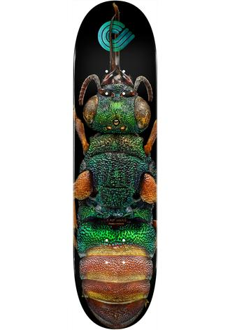 Powell-Peralta Deck Levon Biss 244 Ruby Tailed Wasp Popsicle 8.5" x 32.08"