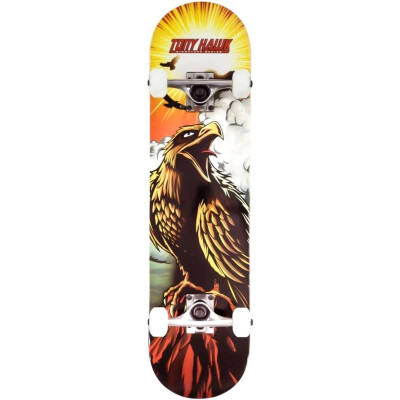 Tony Hawk Complete SS180 Hawk Roar 7.75 x 31" multi