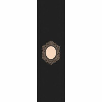 Fruity Griptape (9"x33") Clear Picture Frame...