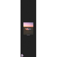 Fruity Griptape (9"x33") Sam Johnson Car Single...