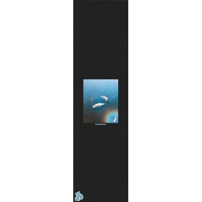 Fruity Griptape (9"x33") Sam Johnson Swans Single Sheet