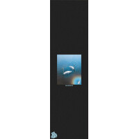 Fruity Griptape (9"x33") Sam Johnson Swans...