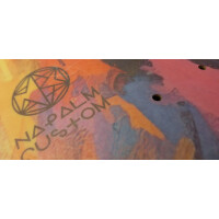 Napalm Deck Slick TIP REINFORCED 8.5" x 33,25"...