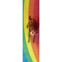 PARADOX Love Gripatape 9 x 33 multicolor