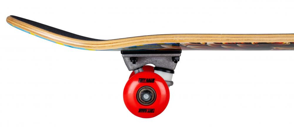 Tony Hawk Complete SS180 Golden Hawk 7.75 x 31" multi