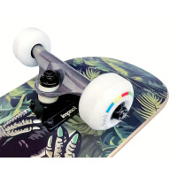 Little Boards Complete Kinder Skateboard Dino 7,0" x 28,5"x WB12,2"