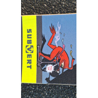 Leihboard Skateboard Pig