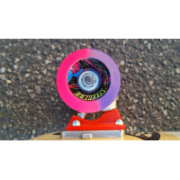 Leihboard Skateboard Pig