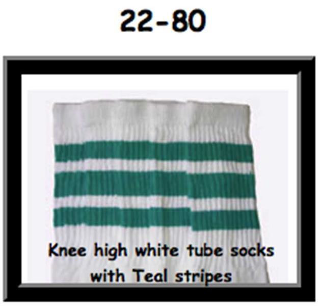 22" SKATERSOCKS white style 22-080 teal stripes