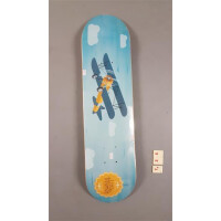 Little Boards Deck Kinder Skateboard Airplane gross