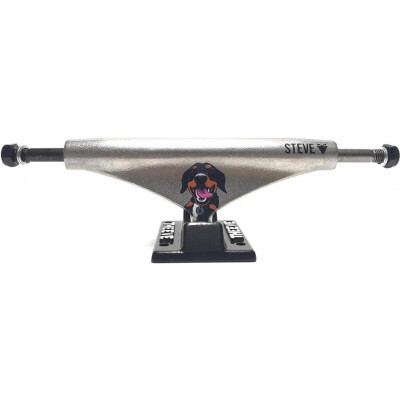 THEEVE TRUCKS CSX HOLLOW STEAL KINGPIN MCINNES PAWS 5,0