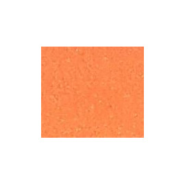 Neon Orange