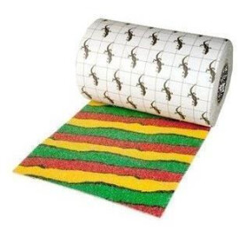 Rasta 11"